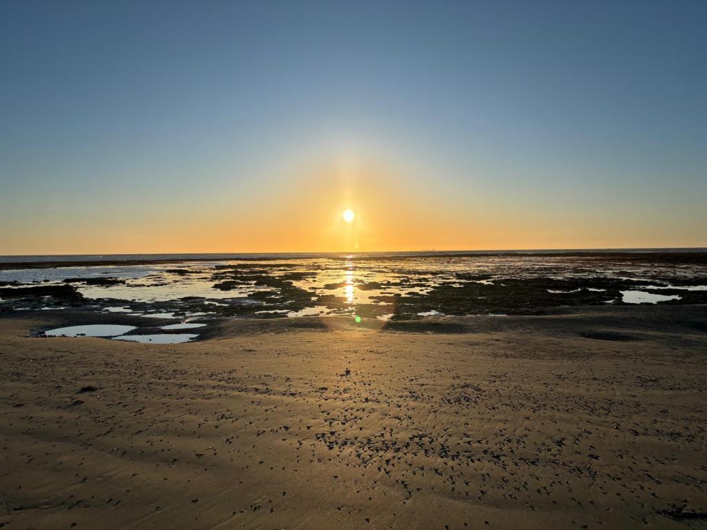 Where do emotions live: Listening to the body without forcing&nbsp;It